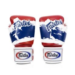 Alternative view of Fairtex Thai Pride Boxing Gloves BGV1