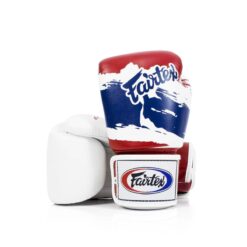 Fairtex Thai Pride Boxing Gloves BGV1