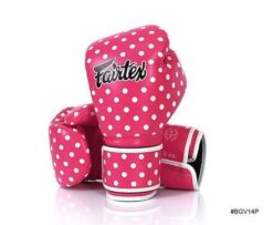 Fairtex Vintage Art Boxing Gloves BGV14P