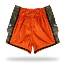 Fairtex Orange Muay Thai Shorts BS1705 Enigma back view